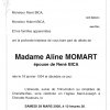 2008_MOMART_Aline