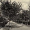 Rue du Port 1950